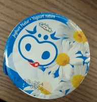Yogourt nature