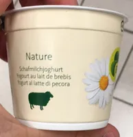 Yogourt au Lait de Brebis