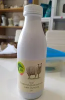 Lait de brebis