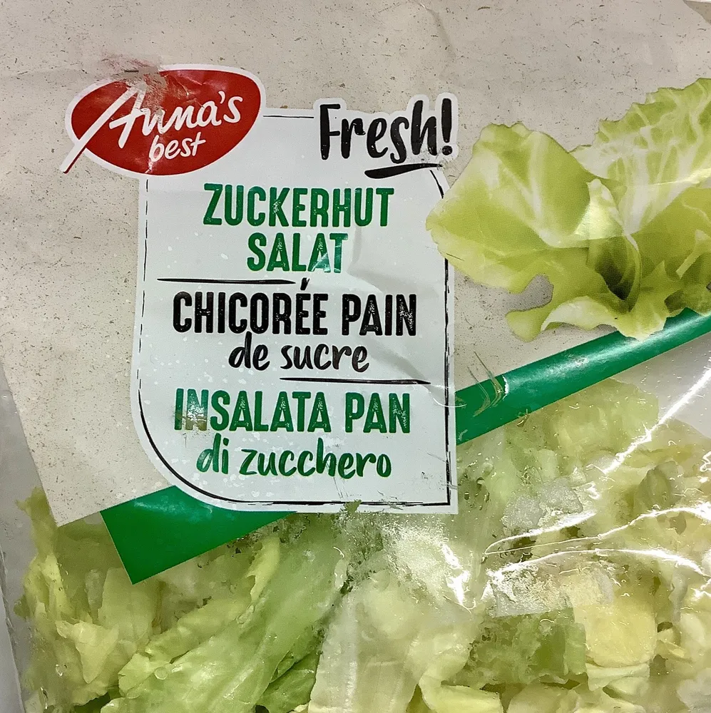 Chicorée pain de sucre