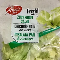 Chicorée pain de sucre