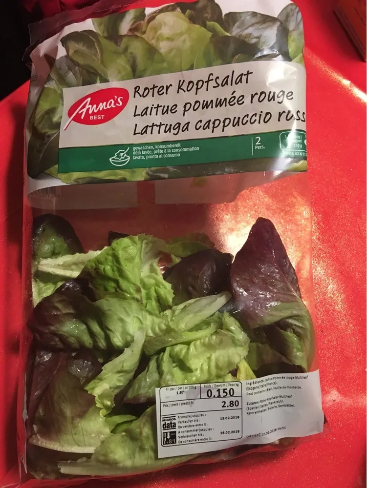 Laitue pommée rouge