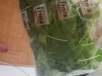 EPINARDS