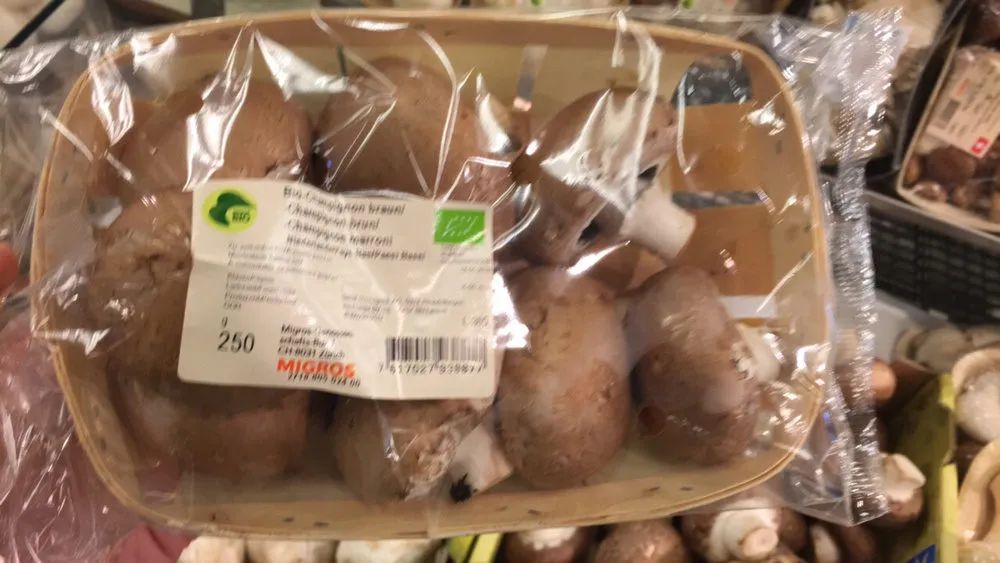 Champignons bruns