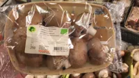 Champignons bruns