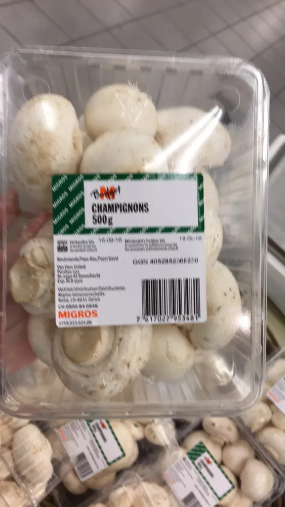 Champignons