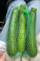 Courgette
