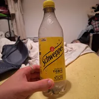 Schweppes Indian Tonic