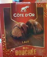 Côte d'Or lait mini bouchée