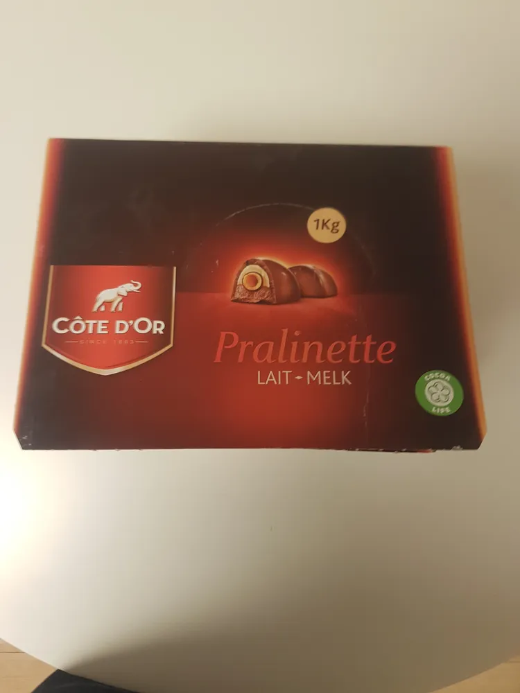 Côte D'or Pralinette 100 Pièces 1KG