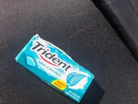 Trident Eucalipto