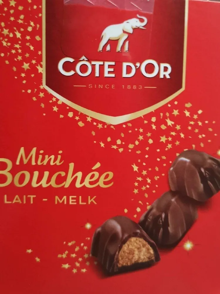 Mini bouchée lait