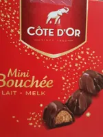 Mini bouchée lait