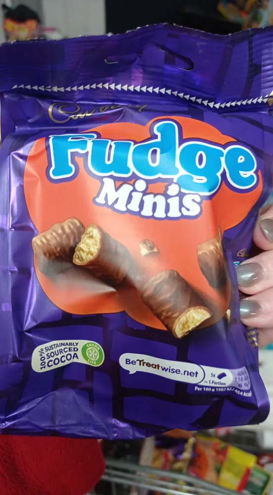 Fudge Minis Chocolate Bag