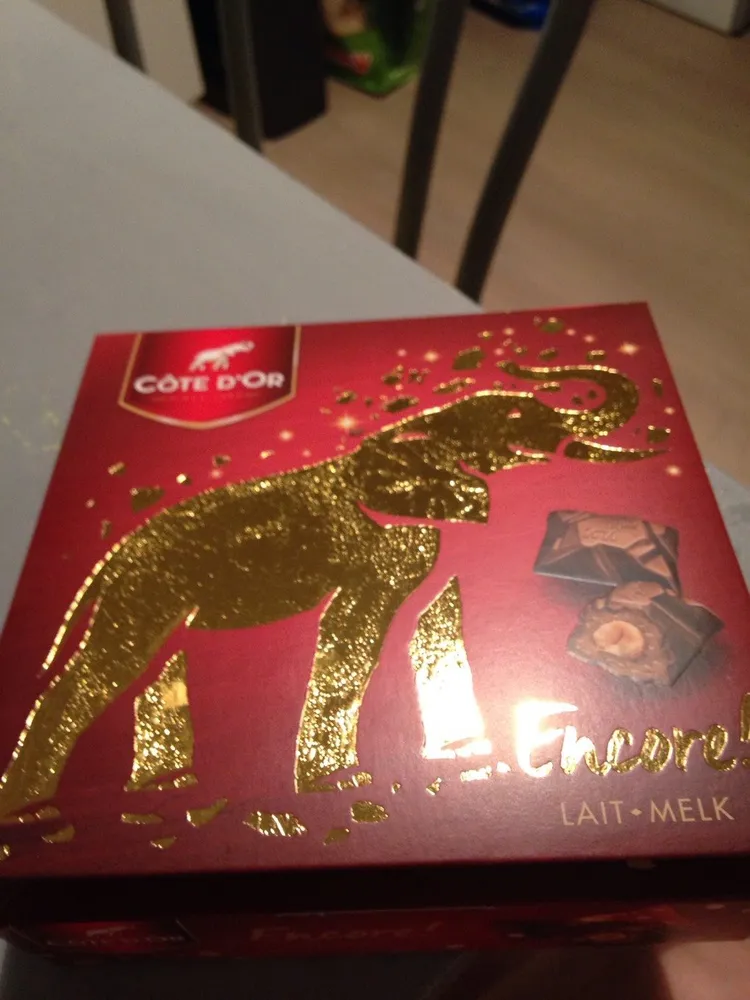 Bonbons bouchées chocolat lait Côte d'Or