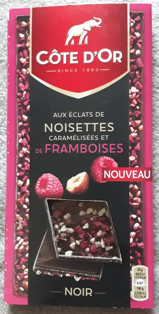 Chocolat noir aux éclats de noisettes caramélisées et de framboises