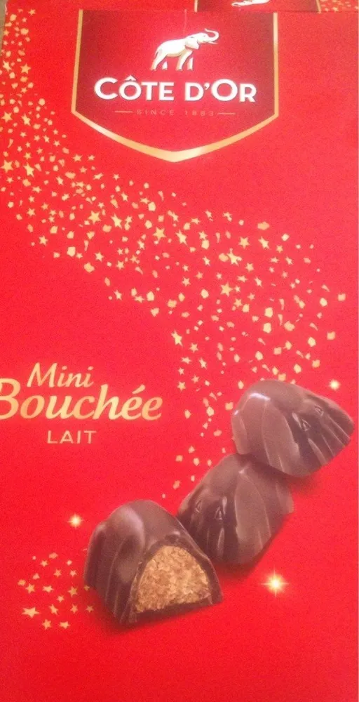 Mini bouchée lait