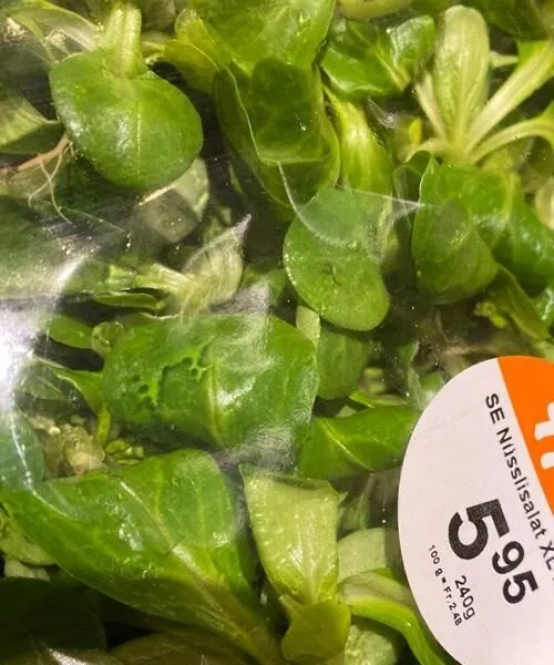 SE Nüsslisalat
