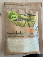 Parmesan