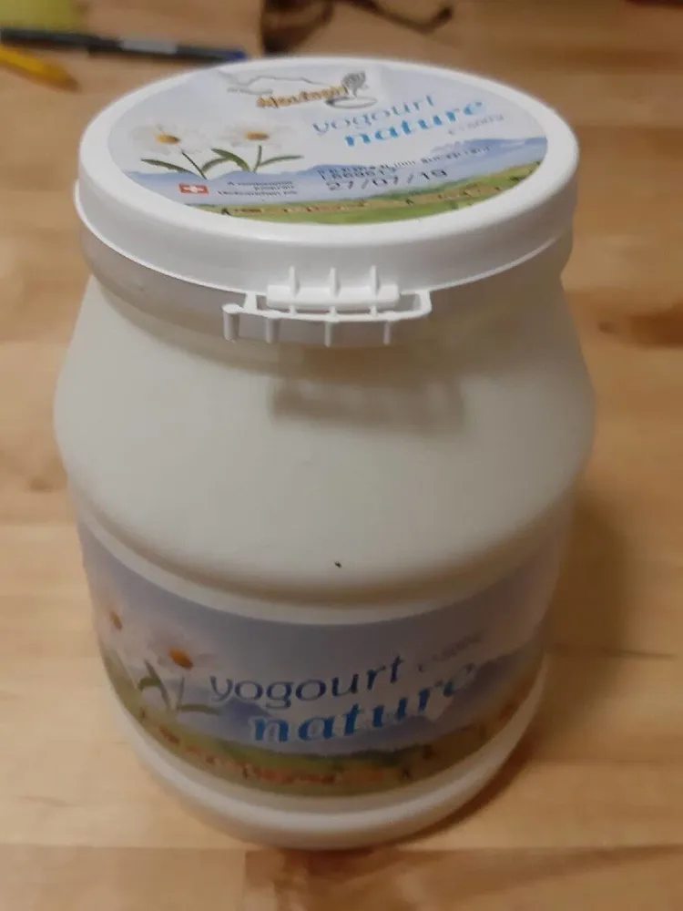 Yogourts nature
