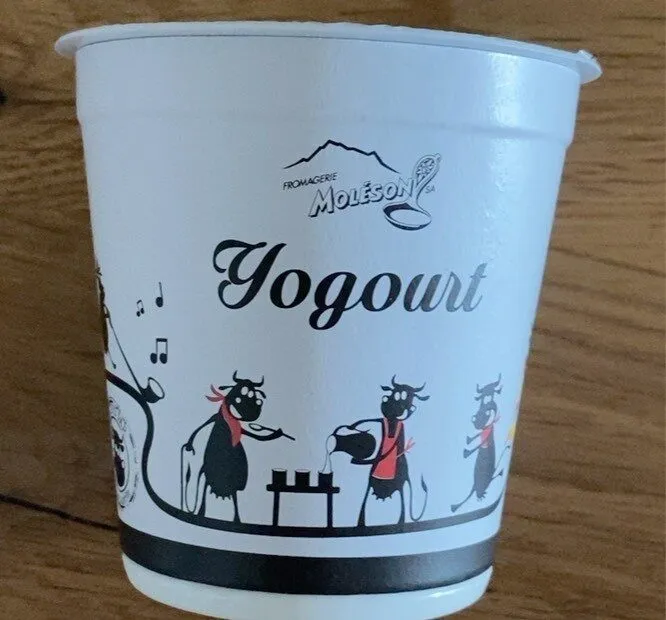 Yogourt Nature