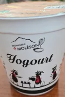 Yogourt Ananas