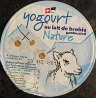 Yogurt au lait de brebis Nature