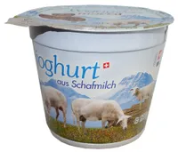 Yogourt au lait de brebis pasteurise mocca