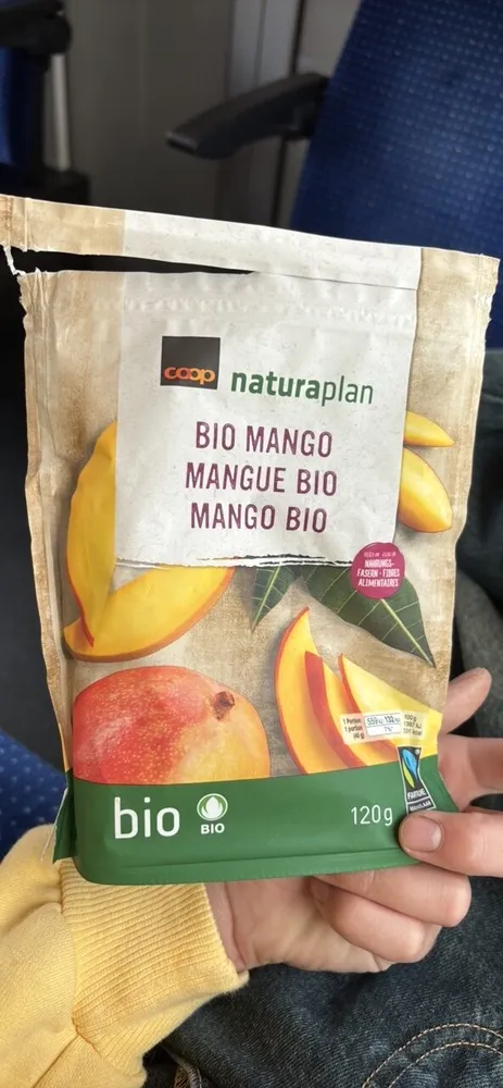 Mangue