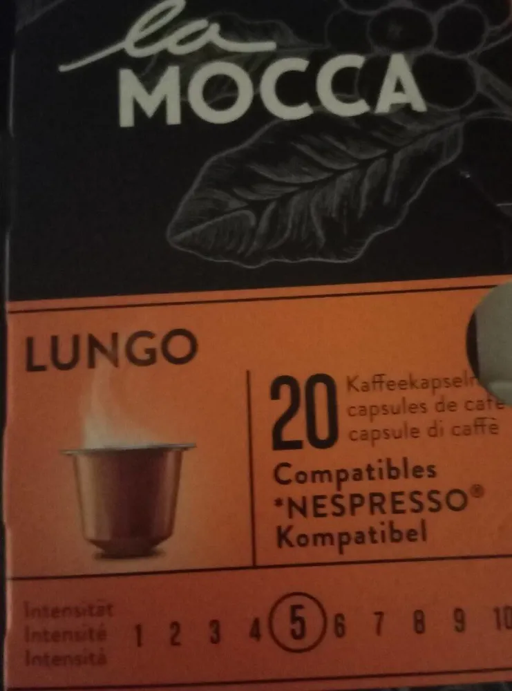 Lungo
