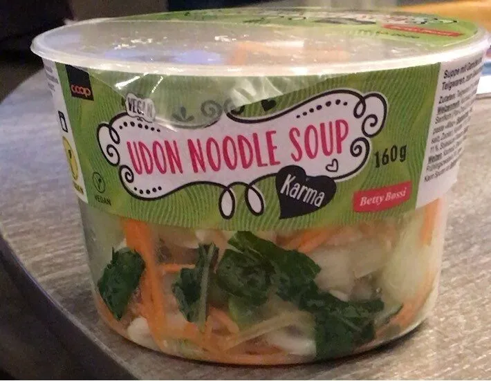 Udon noodle soup