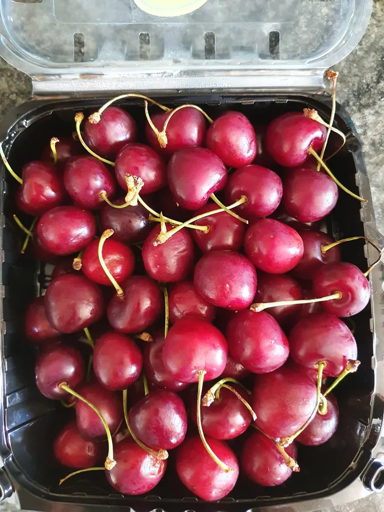 Cerises rainier