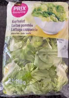 Lattuga cappuccio