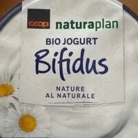 Bifidus Jogurt Nature