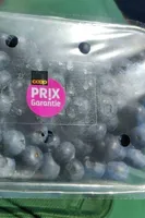 Blaubeeren