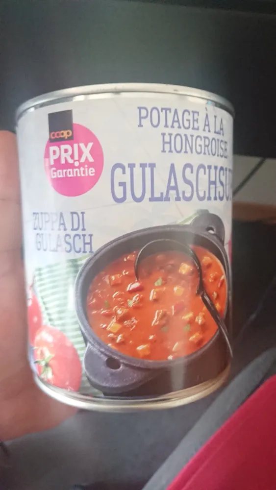 Potage à la hongroise