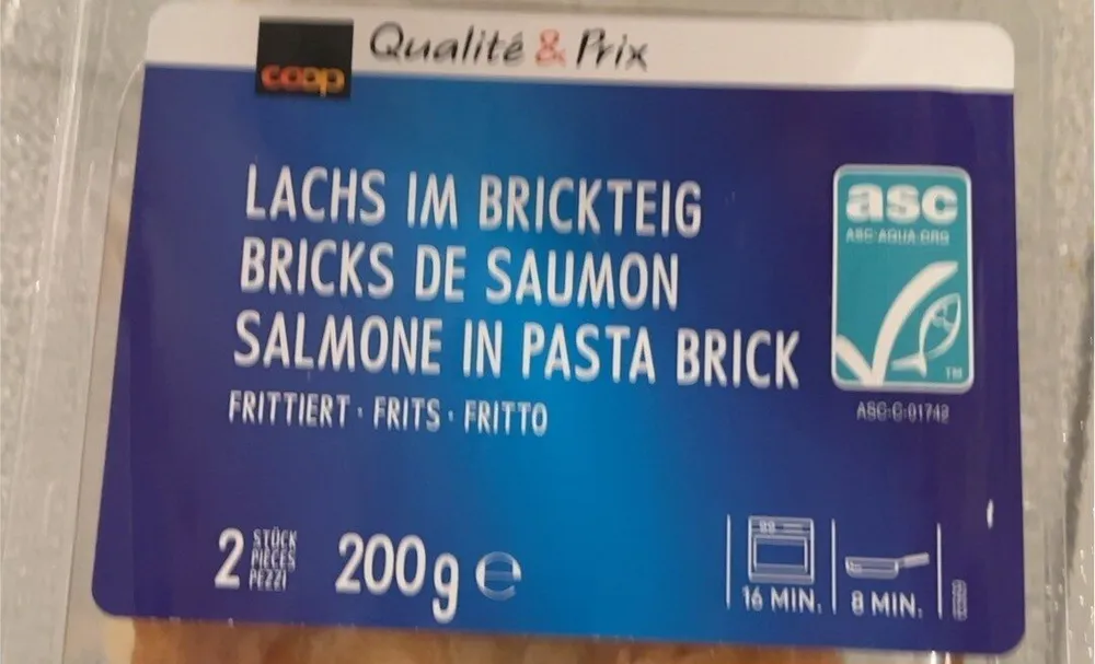 Bricks de Saumon
