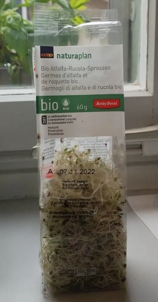 Germe d'alfalfa et de roquette bio