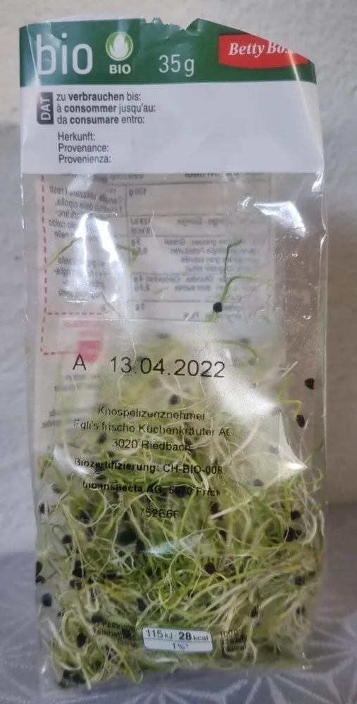 Zwiebelsprossen