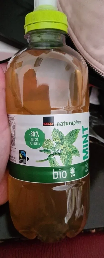 Bio green tea mint