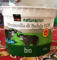 Mozzarella di bufala AOP