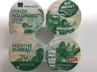 Minze Holunder