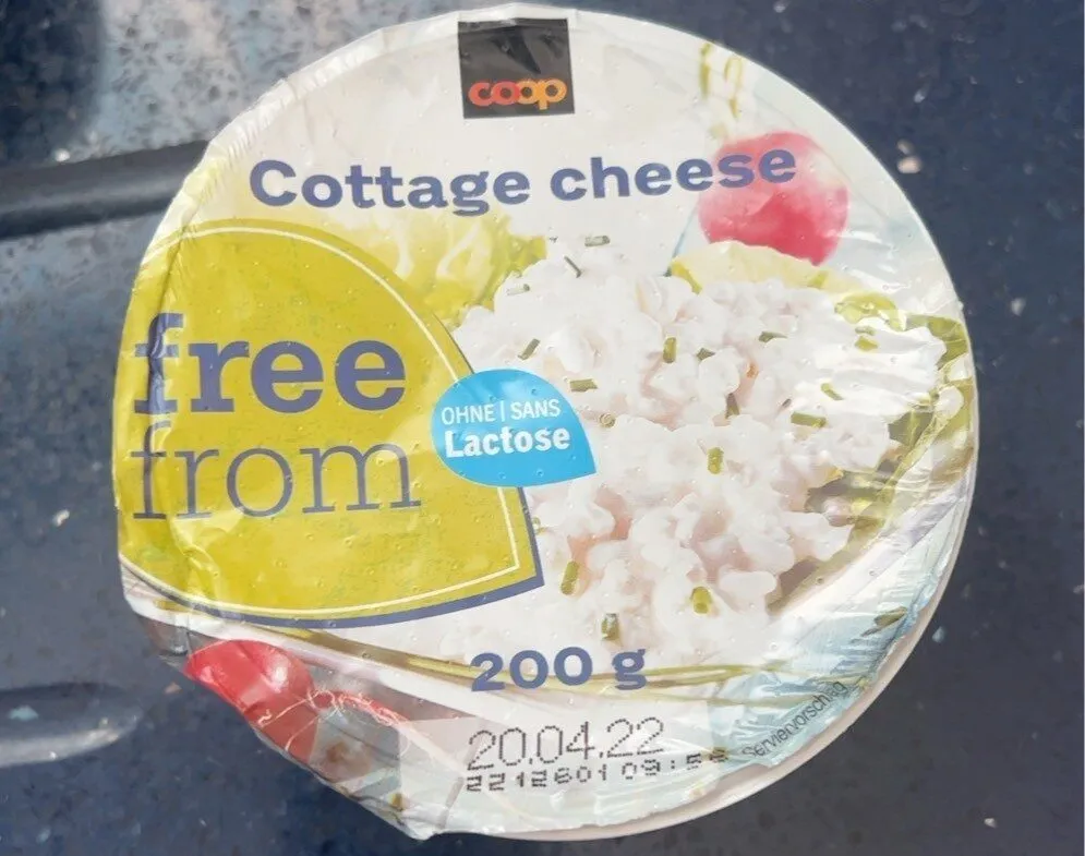 Cottage Chesese Sans Lactose