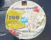 Cottage Chesese Sans Lactose