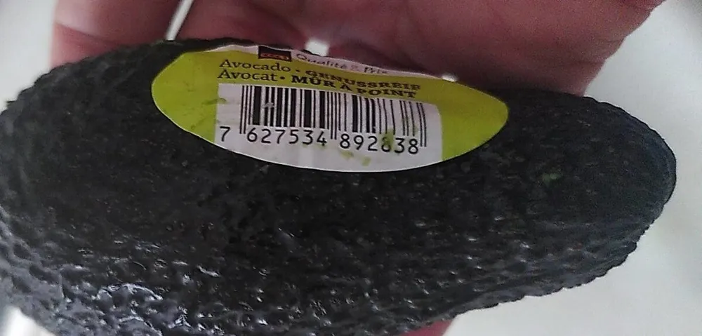 Avocado