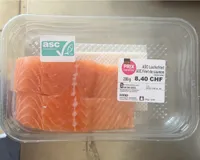 Salmon