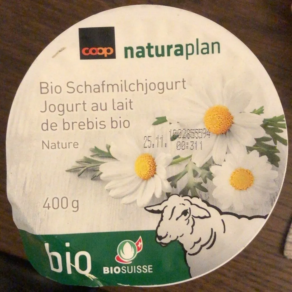 Jogurt au lait de brebis