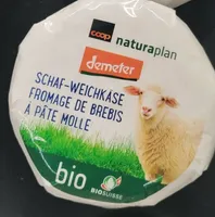 Fromage de Brebis à pâte molle
