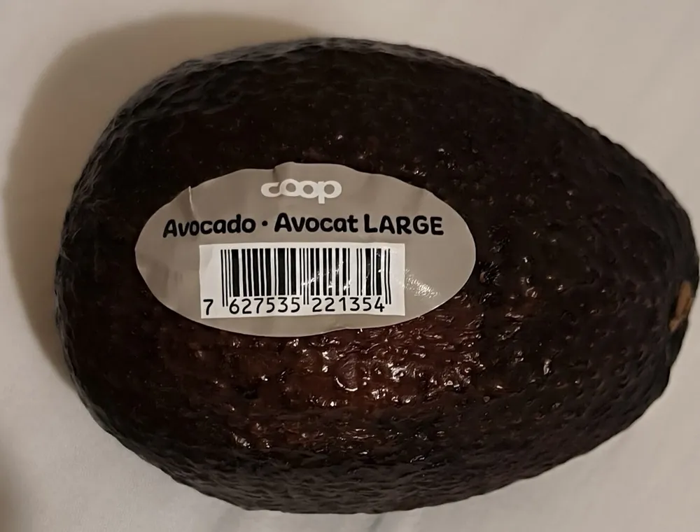 Avocado - Avocat Large