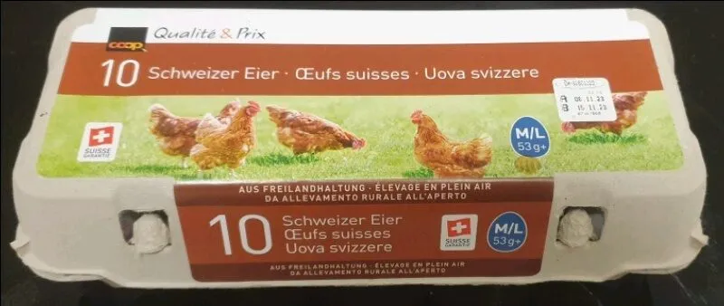 Eier 53g+, Freiland